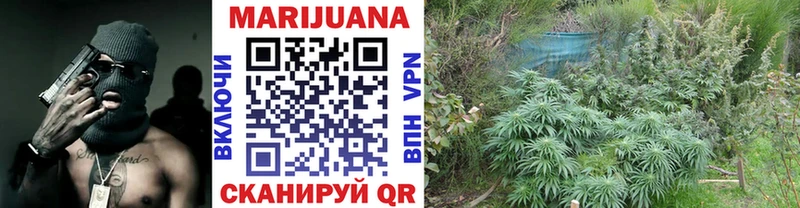 Каннабис Ganja  MEGA ONION  Сясьстрой  дарнет шоп 